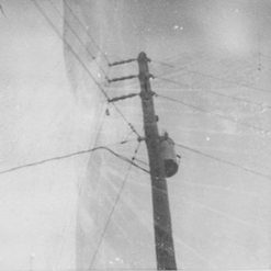 Telephone Pole